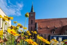 Bernau LIVE - Dein Stadtmagazin