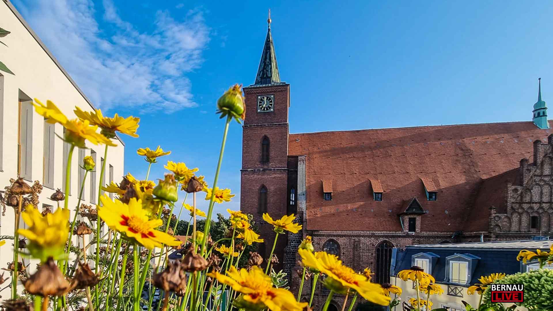 Guten Morgen aus Bernau und allen eine gute Wochenmitte 1 Bernau LIVE - Dein Stadtmagazin