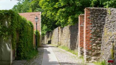 Bernau LIVE - Dein Stadtmagazin
