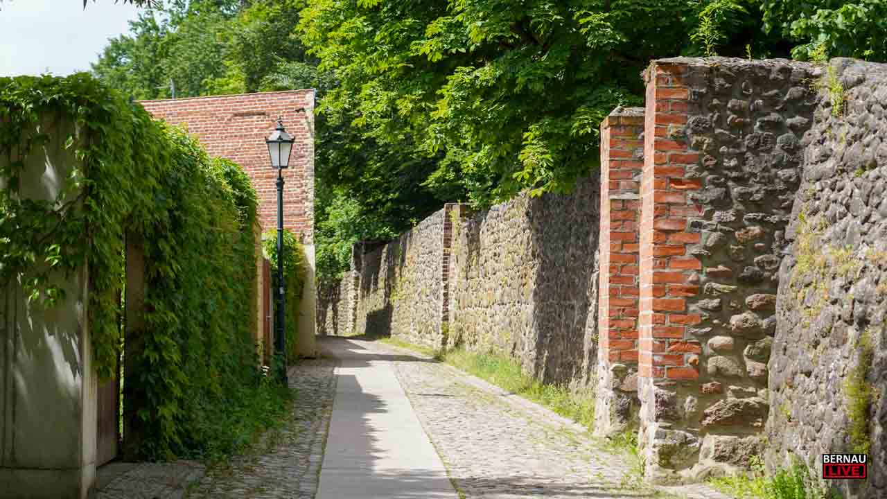 Bernau LIVE - Dein Stadtmagazin