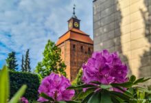 Guten Morgen aus Bernau – Verkehr, Infos und Tipps am 10. Juni 2026