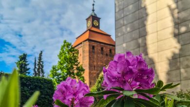 Guten Morgen aus Bernau – Verkehr, Infos und Tipps am 10. Juni 2026