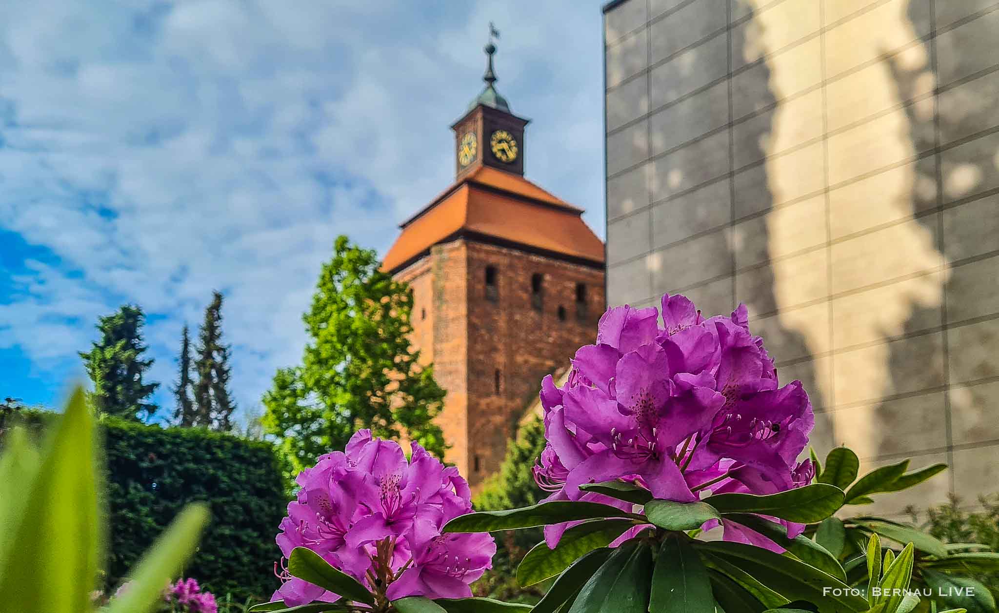 Guten Morgen aus Bernau – Verkehr, Infos und Tipps am 10. Juni 2026