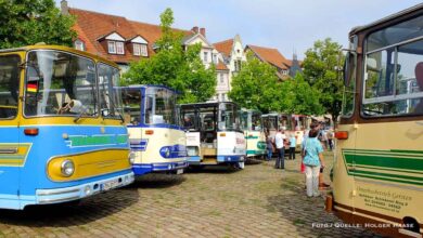 Zeitreise auf Rädern: Historische Fleischer-Busse zu Gast in Bernau