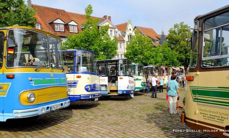 Zeitreise auf Rädern: Historische Fleischer-Busse zu Gast in Bernau