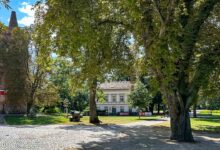 Guten Morgen aus Bernau – Verkehr, Infos und Tipps am 28. Juli 2026