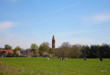 SonntagsTouren in die Schorfheide - Brodowin "Naturparadies und Dorfidyll"