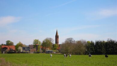 SonntagsTouren in die Schorfheide - Brodowin "Naturparadies und Dorfidyll"