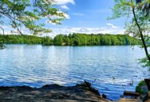 Kreativität, Ostseeluft, buntes Treiben: Sommerferien im Jugendtreff Dosto Bernau
