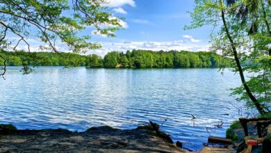 Kreativität, Ostseeluft, buntes Treiben: Sommerferien im Jugendtreff Dosto Bernau