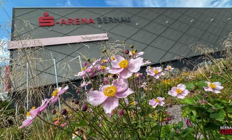 Internationale Philatelie zu Gast in Bernau: „Bephila 2026“ lädt zur Briefmarkenschau