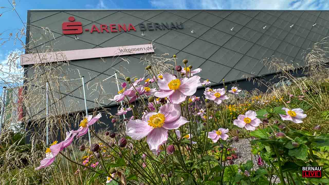 Internationale Philatelie zu Gast in Bernau: „Bephila 2026“ lädt zur Briefmarkenschau
