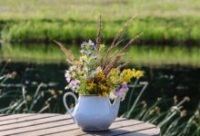 Veranstaltungen und Tipps für das Wochenende in und um Bernau