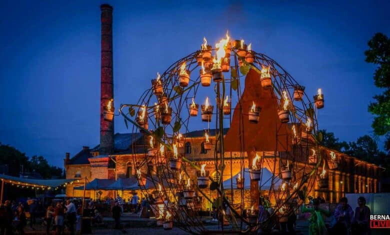 Sommermagie in Börnicke: Auf zum Inselleuchten-Festival 2026