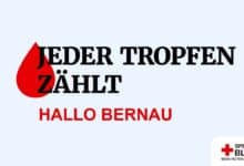 DRK Niederbarnim e.V. lädt heute zur Blutspendeaktion im Forum Bernau ein