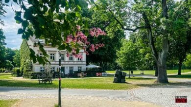 Guten Morgen aus Bernau – Verkehr, Infos und Tipps am 21. Juli 2026