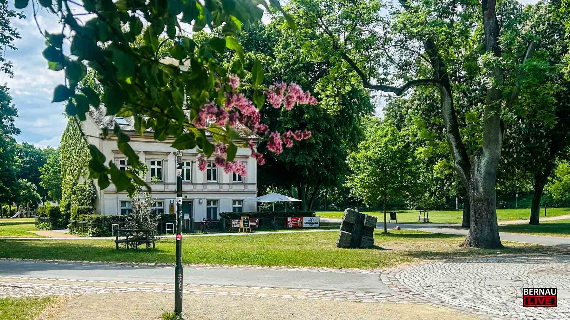 Guten Morgen aus Bernau – Verkehr, Infos und Tipps am 21. Juli 2026 1 Guten Morgen aus Bernau – Verkehr, Infos und Tipps am 21. Juli 2026
