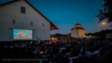 Sternenhimmel, Popcorn und Community-Gefühl: Open Air Kino in Hobrechtsfelde