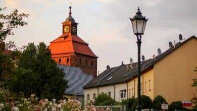 Bernau LIVE - Dein Stadtmagazin