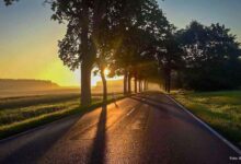 Guten Morgen aus Bernau – Verkehr, Infos und Tipps am 13. August 2026