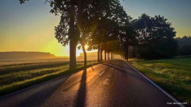 Guten Morgen aus Bernau – Verkehr, Infos und Tipps am 13. August 2026