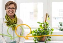 Patientenfürsprecher/Patientenfürsprecherin (m/w/d) Immanuel Klinikum Bernau
