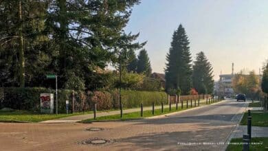 Bernau: Hohe Tempo-Überschreitungen im Bernauer Blumenhag - Verkehrskonzept gefordert