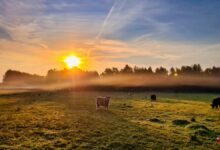 Guten Morgen aus Bernau – Verkehr, Infos und Tipps am 6. August 2026