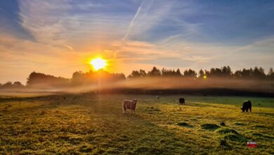 Guten Morgen aus Bernau – Verkehr, Infos und Tipps am 6. August 2026