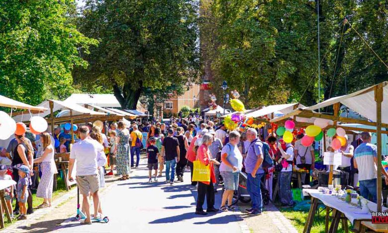 Buntes Treiben und Mitgestalten: Der 16. Tag der Vereine im Bernauer Stadtpark