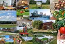 Wandlitz: Koordination therapeutische Prozesse / Stellv. Leitung Wohnverbund gesucht!