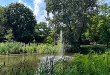 Guten Morgen aus Bernau und willkommen in der neuen Woche