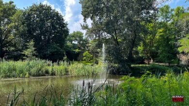 Guten Morgen aus Bernau und willkommen in der neuen Woche