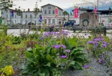 Guten Morgen aus Bernau – Verkehr, Infos und Tipps am 18. August 2026