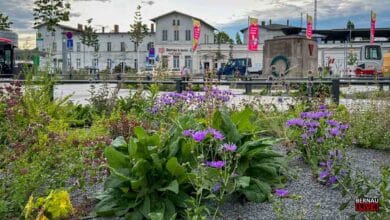 Guten Morgen aus Bernau – Verkehr, Infos und Tipps am 18. August 2026