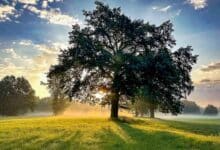 Veranstaltungen und Tipps für das Wochenende in und um Bernau