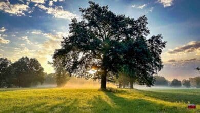 Veranstaltungen und Tipps für das Wochenende in und um Bernau