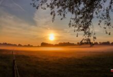 Guten Morgen aus Bernau – Verkehr, Infos und Tipps am 21. August 2026