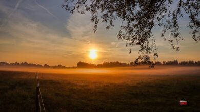 Guten Morgen aus Bernau – Verkehr, Infos und Tipps am 21. August 2026