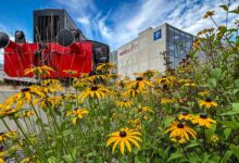 Guten Morgen aus Bernau – Verkehr, Infos und Tipps am 28. August 2026