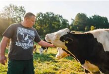 Leitung Landwirtschaft (m/w/d) in Bernau OT Lobetal