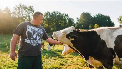Leitung Landwirtschaft (m/w/d) in Bernau OT Lobetal