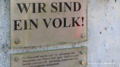 Bernau LIVE - Dein Stadtmagazin
