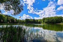 Veranstaltungen und Tipps für das Wochenende in und um Bernau