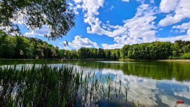 Veranstaltungen und Tipps für das Wochenende in und um Bernau
