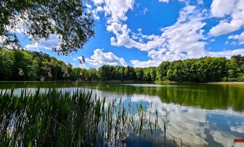 Veranstaltungen und Tipps für das Wochenende in und um Bernau