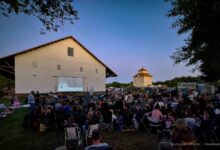 Am Samstag: Open-Air Kino am Wandlitzsee und in Hobrechtsfelde