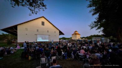 Am Samstag: Open-Air Kino am Wandlitzsee und in Hobrechtsfelde