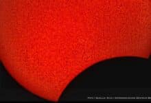 Morgige Sonnenfinsternis auf dem Bernauer Rathausdach erleben