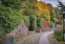 Guten Morgen aus Bernau – Verkehr, Infos und Tipps am 25. September 2026